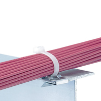 Panduit MCMS30-P-C kabelbindersokkel Staal 100 stuk(s)