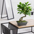 Botanic-Haus 140805 Künstliche Pflanze Indoor Künstlicher Baum
