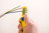 Abisoliermesser für Rundkabel, 0,2-4,0 mm², Leiter-Ø 8-13 mm, L 124 mm, 46.5 g,