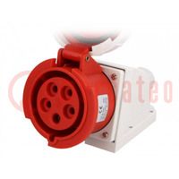 Connector: AC supply 3-phase; socket; female; 32A; 400VAC; IP67