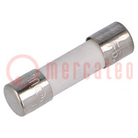 Fuse: fuse; quick blow; 6.3A; 250VAC; ceramic,cylindrical; 5x20mm