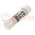 Fuse: fuse; gG; 6A; 400VAC; cylindrical,industrial; 8x31mm