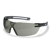 Uvex 9199280 Schutzbrille/Sicherheitsbrille Grau