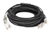 Digitus Câble breakout fibre optique universel préassemblé, multimode OM4, 8 fibres, LC/UPC – LC/UPC