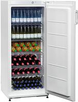 Flaschenkühlschrank 254L