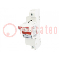 Fuse holder; cylindrical fuses; 22x58mm; for DIN rail mounting