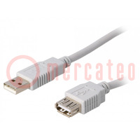 Câble; USB 2.0; USB A socle,USB A prise; 1,8m; gris; Brin: CCA