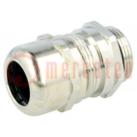 Cable gland; with earthing; M25; 1.5; IP68; brass