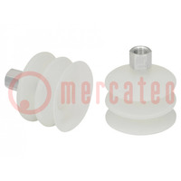 Suction cup; 62mm; G1/4 IG; Shore hardness: 55; 61.122cm3; FSG