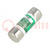 Fuse: fuse; time-lag; 5A; 600VAC; 300VDC; industrial; 20.6x57.2mm