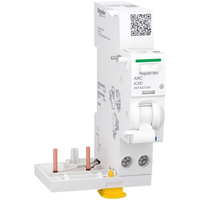 Schneider Electric A9TAA1240 coupe-circuits 2P