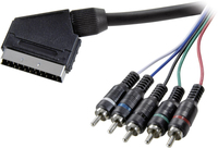 SpeaKa Professional SP-7870656 video kabel adapter 2,5 m SCART (21-pin) 5 x RCA Zwart