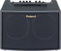 Roland AC-60 Gitarrenverstärker 16,5 cm (6.5 Zoll)