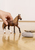 schleich HORSE CLUB 13953 action figure giocattolo