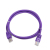Gembird RJ45/RJ45 Cat5e 1m networking cable Purple U/UTP (UTP)