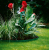 Gardena 538-20 Garten-Einfassungsrolle Kunststoff Grün