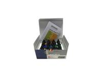 Acryl Lascaux Studio Set Karton 12Flaschen 30ml 3910