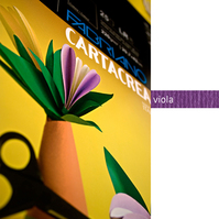 Cartoncino Colorato CartaCrea Fabriano - 35x50 cm - 220 g - 46435104 (Viola Conf
