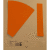Einsteckkarten für 20mm Einsteckschiene 50x17mm VE=170 Stück orange