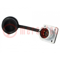 Socket; SF12; male; PIN: 4; IP67; 5A; soldering; 200V; 0.75mm2