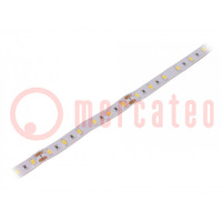 LED strips; neutraal wit; 5630; 24V; LED/m: 60; 12mm; witte PCB