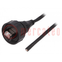 Cable; Buccaneer Ethernet; wires,RJ45 plug; IP68; -25÷75°C; 5m