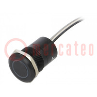 Switch: capacitive; Pos: 2; SPST-NO; 0.01A/12VDC; IP68; OFF-ON; MC