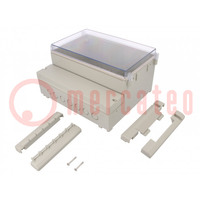 Enclosure: wall mounting; X: 256mm; Y: 217mm; Z: 132mm; ABS; grey