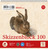 Skizzenblock Quart 20x20cm 100 Blatt weiß Edition DÜRER 040902000
