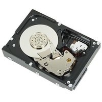 DELL 9DFDD internal hard drive 3.5" 2 TB SAS
