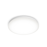 Philips Functioneel 8718699681159 plafondverlichting Niet-verwisselbare lamp(en) LED 17 W