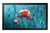 Samsung QB13R Écran plat de signalisation numérique 33 cm (13") LCD Wifi 300 cd/m² Full HD Noir Tizen 4.0