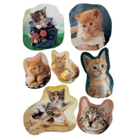 Stickers DECOR chats photogéniques, 3 feuilles