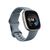 Versa 4 Platinum Gps (Satellite) Smartwatches