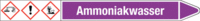 Rohrmarkierer mit Gefahrenpiktogramm - Ammoniakwasser, Violett, 2.6 x 25 cm