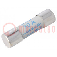 Fuse: fuse; gR; 30A; 660VAC; ceramic,cylindrical,industrial; URZ