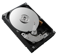 DELL MM501_NEW internal hard drive 3.5" 300 GB SAS