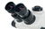 Levenhuk ZOOM 1T 45x Optikai mikroszkóp