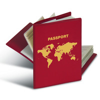 RFID Schutzhülle für Reisepass für, PVC-Folie, 0,14 mm, geprägt, dokumentenecht,