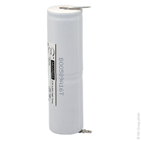 Unité(s) Batterie eclairage secours 2xD ST4 Faston 4.8mm (+2.8mm) 2.4V 4Ah