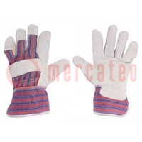 Protective gloves; Size: 10; cotton,natural leather