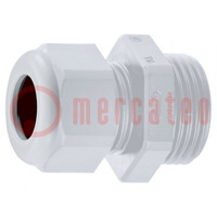 Cable gland; PG13,5; IP54; polyamide; grey; HSK-KE