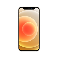 Apple iPhone 12 mini 13,7 cm (5.4") Dual-SIM iOS 14 5G 256 GB Weiß