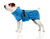 SwissPet 547781 Kleidung für Hunde & Katzen XS Blau Hund Bademantel