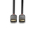 Lindy 36480 DisplayPort kábel 0,5 M Fekete