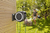 Gardena RollUp Montowany do ściany wózek na wąż ogrodowy Automatyczny Czarny, Szary