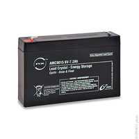 Batterie(s) Batterie lead crystal 3-CNFJ-7.2 6V 7.2Ah F4.8