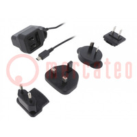 Power supply: switched-mode; mains,plug; 5VDC; 1A; 5W; 74%; 0÷60°C