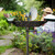 Relaxdays Gusseisen Vogeltränke zum Stecken, mit Erdspieß, Gartendeko, Vogelfutterstelle, Wasserschale 1m hoch, Farbwahl