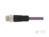 Sensor-Aktor Kabel, M12-Kabelstecker, gerade auf offenes Ende, 2-polig, 0.5 m, P